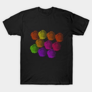 Rose Rainbow T-Shirt